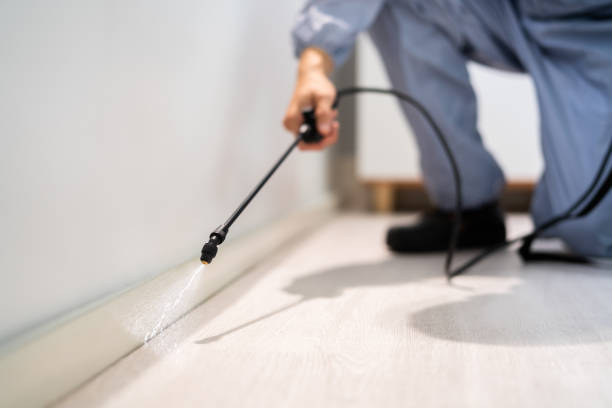 Licensed Termite Control service in Brent, FL - Nex Pest Control