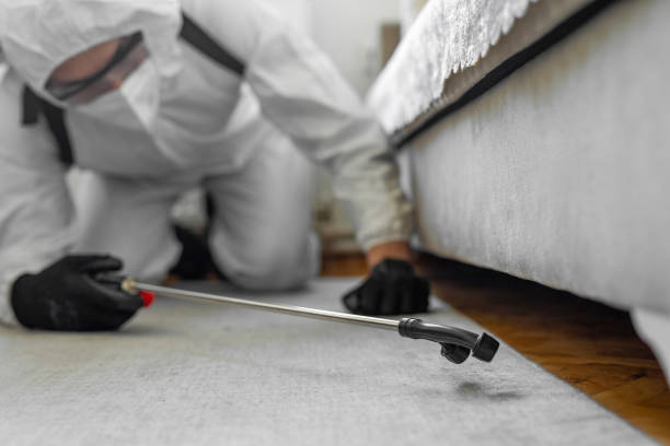 Professional Termite Control technician working in Brent, FL