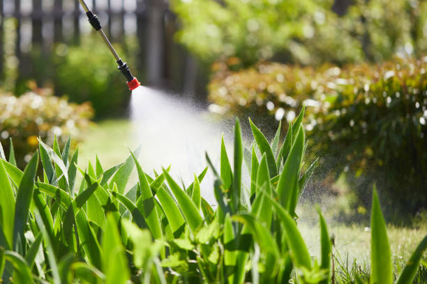 24/7 Emergency Termite Control experts in Brent, FL